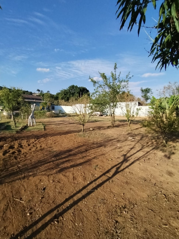 Chácara, 3 quartos - Foto 2
