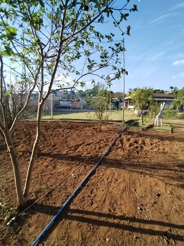 Chácara, 3 quartos - Foto 4