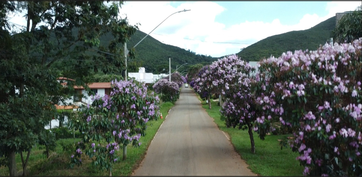 Chácara, 1 quarto, 1000 m² - Foto 8