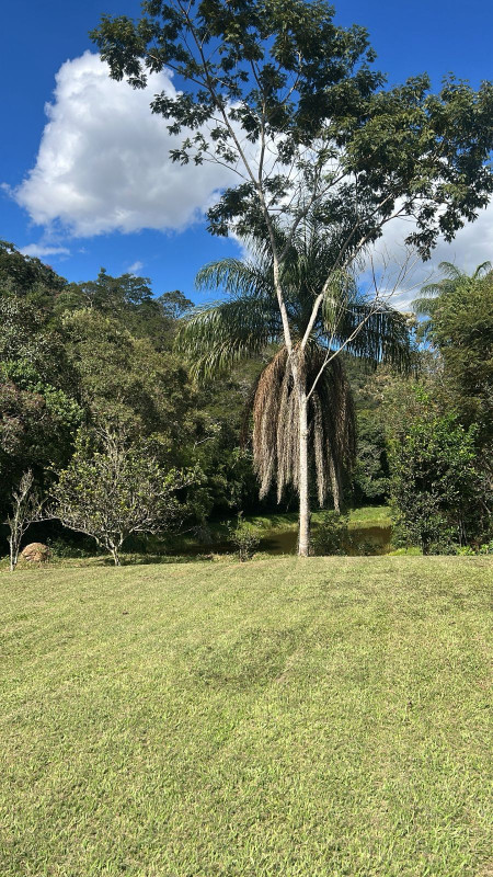 Chácara, 3 quartos, 86 hectares - Foto 9