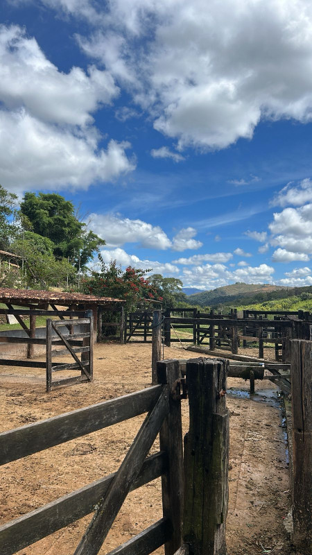 Chácara, 3 quartos, 86 hectares - Foto 5
