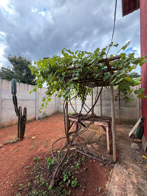 Chácara, 5 quartos, 1100 m² - Foto 11
