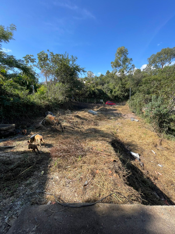 Chácara, 1 quarto, 1000 m² - Foto 3