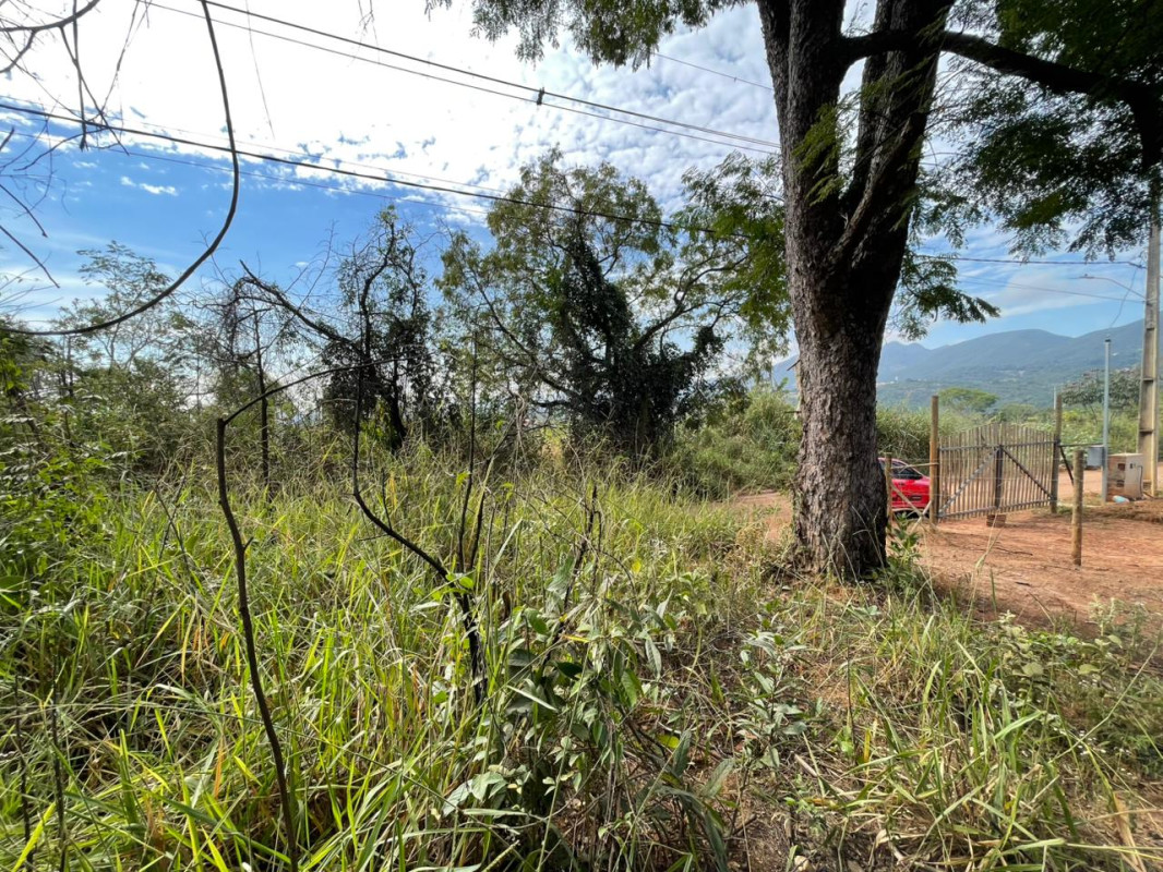 Terreno, 1000 m² - Foto 3