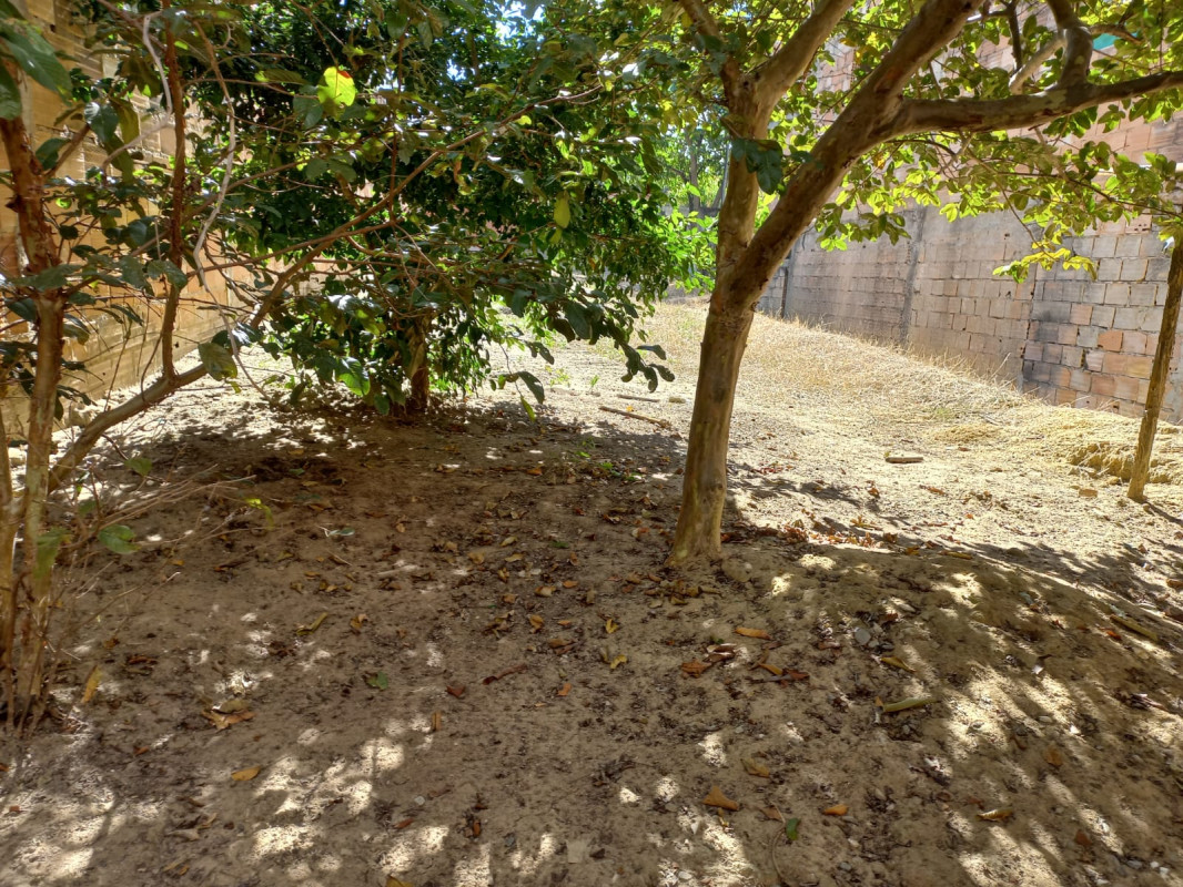 Terreno, 210 m² - Foto 6