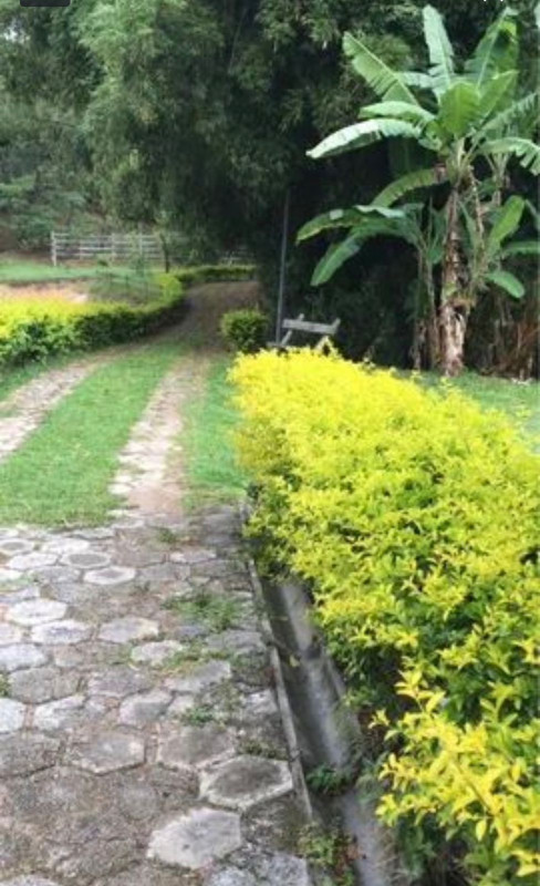 Chácara, 4 quartos - Foto 8