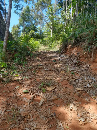 Terreno, 5000 m² - Foto 10