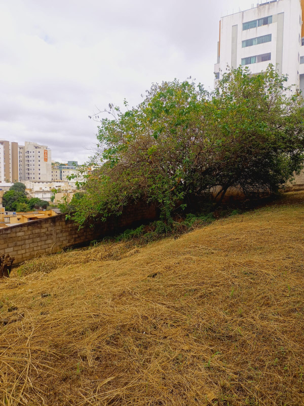 Terreno, 600 m² - Foto 11