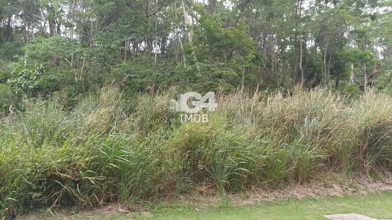 Lote / Terreno à venda em Badu, Niterói - RJ - foto 6