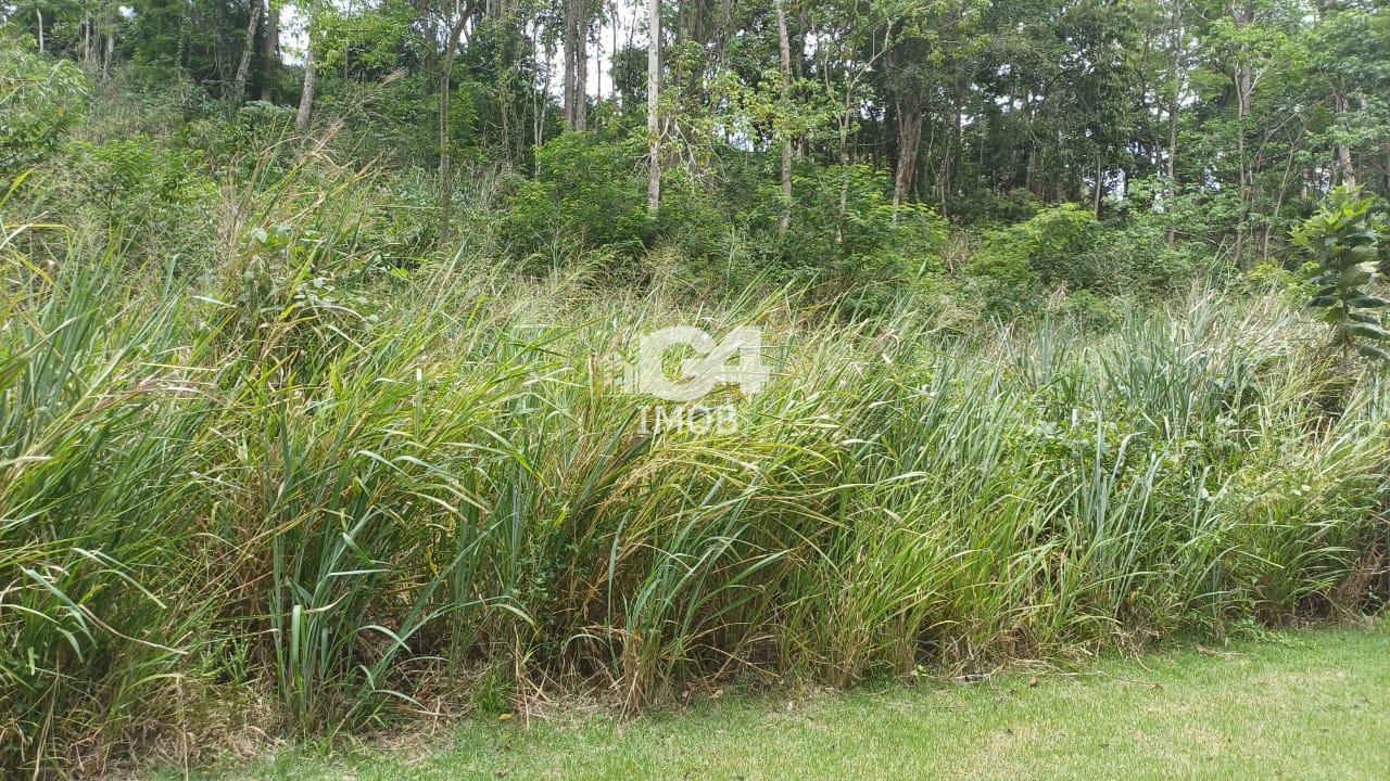 Lote / Terreno à venda em Badu, Niterói - RJ - foto 11