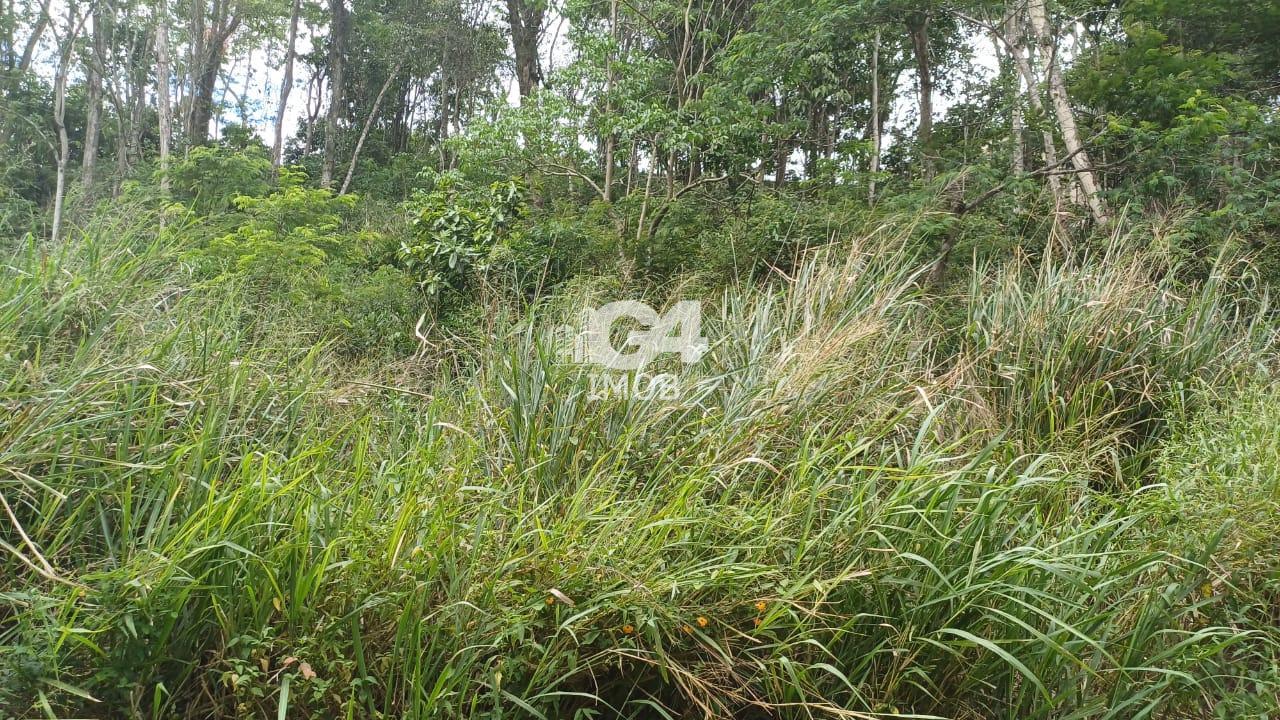 Lote / Terreno à venda em Badu, Niterói - RJ - foto 14