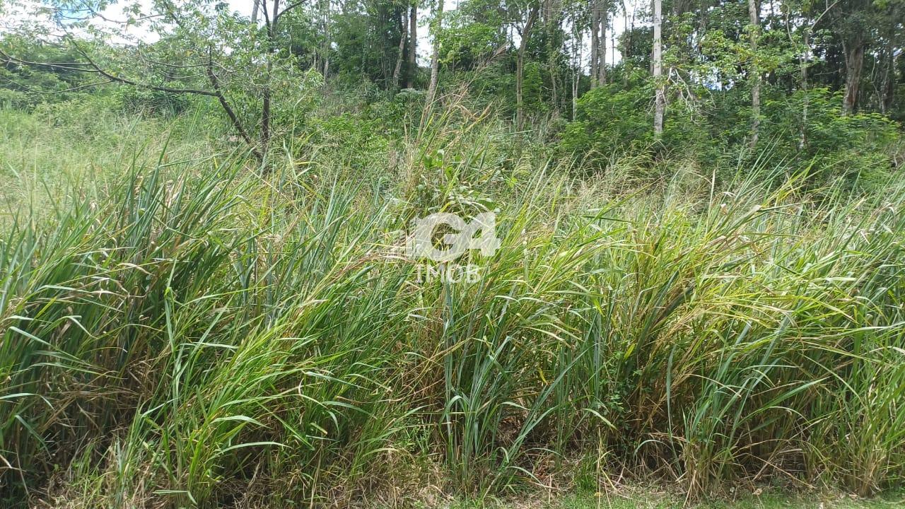 Lote / Terreno à venda em Badu, Niterói - RJ - foto 13
