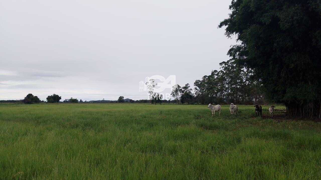 Fazenda / Sítios / Chácaras à venda em Vila Mataruna, Casimiro de Abreu - RJ