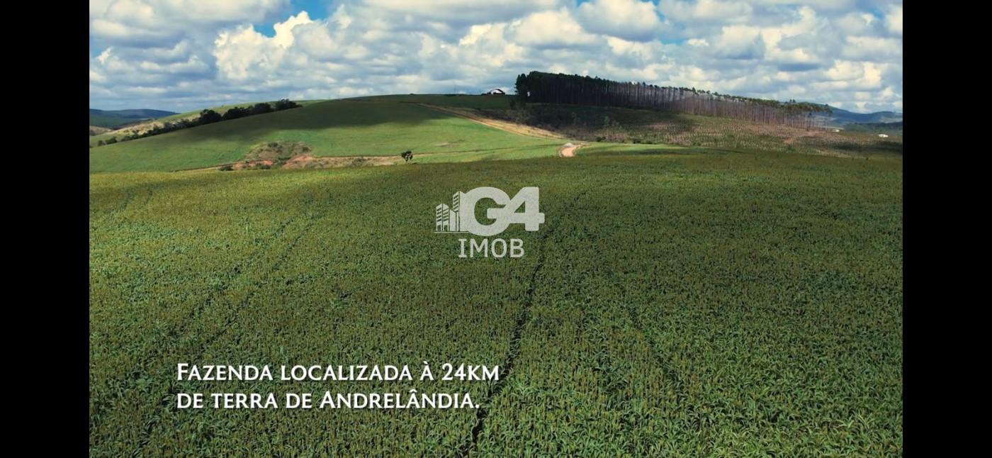 Fazenda, 324 hectares - Foto 5