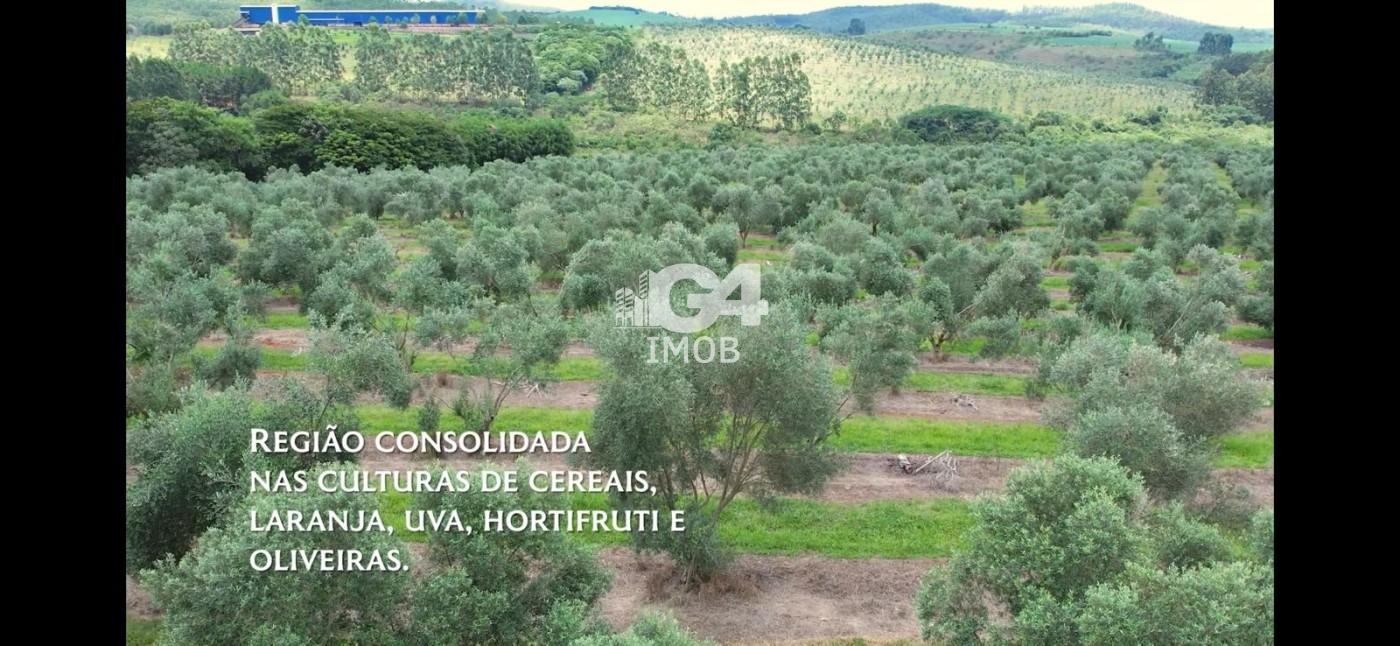 Fazenda, 324 hectares - Foto 7