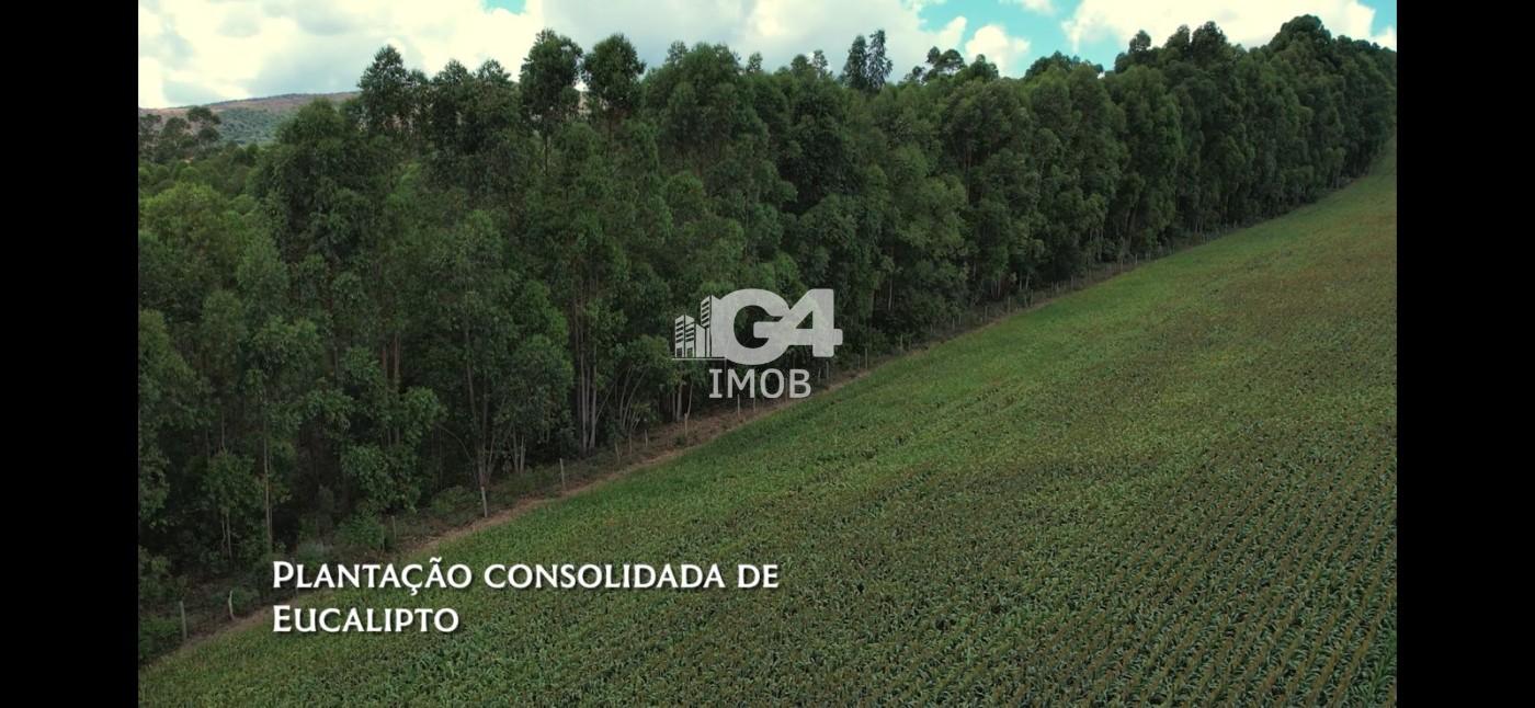 Fazenda, 324 hectares - Foto 10