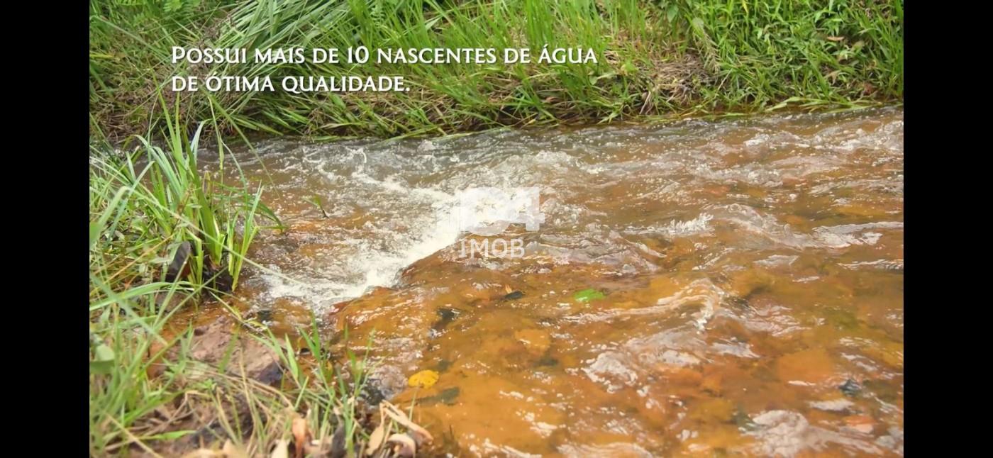 Fazenda, 324 hectares - Foto 12