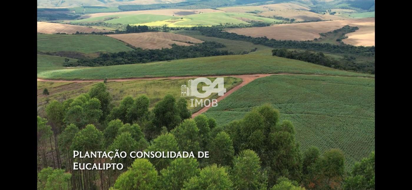 Fazenda, 324 hectares - Foto 11