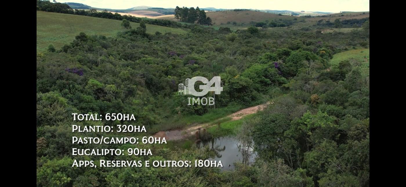 Fazenda, 324 hectares - Foto 13