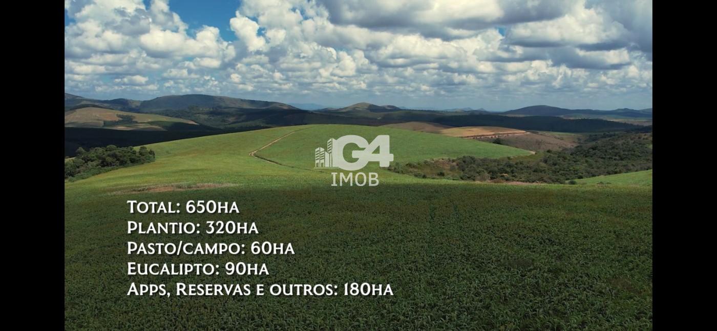 Fazenda, 324 hectares - Foto 15