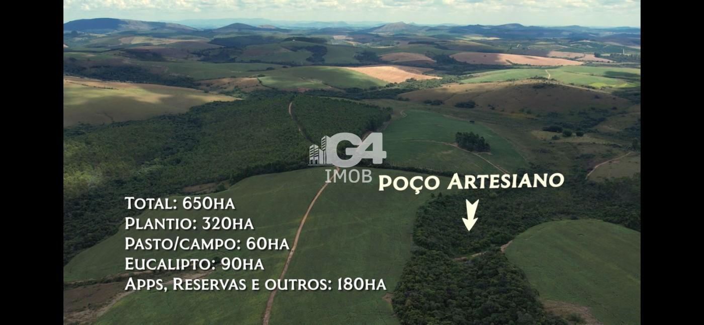 Fazenda, 324 hectares - Foto 14