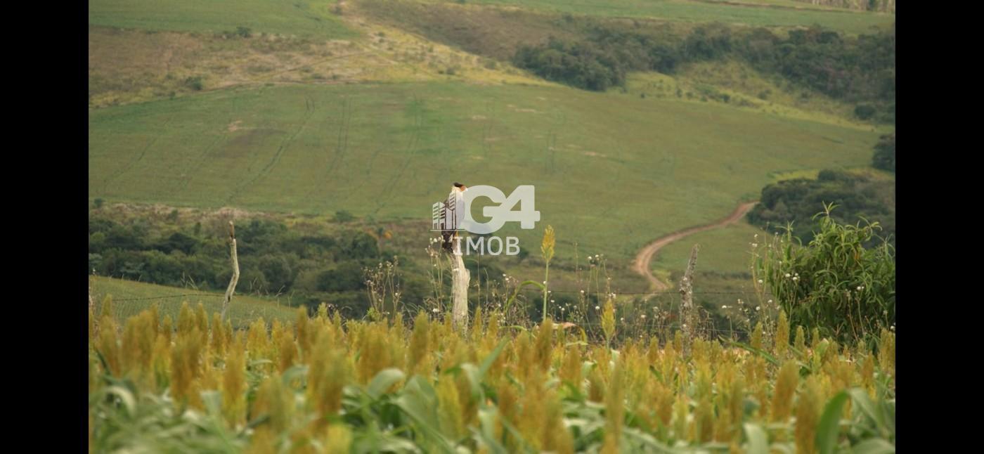 Fazenda, 324 hectares - Foto 20