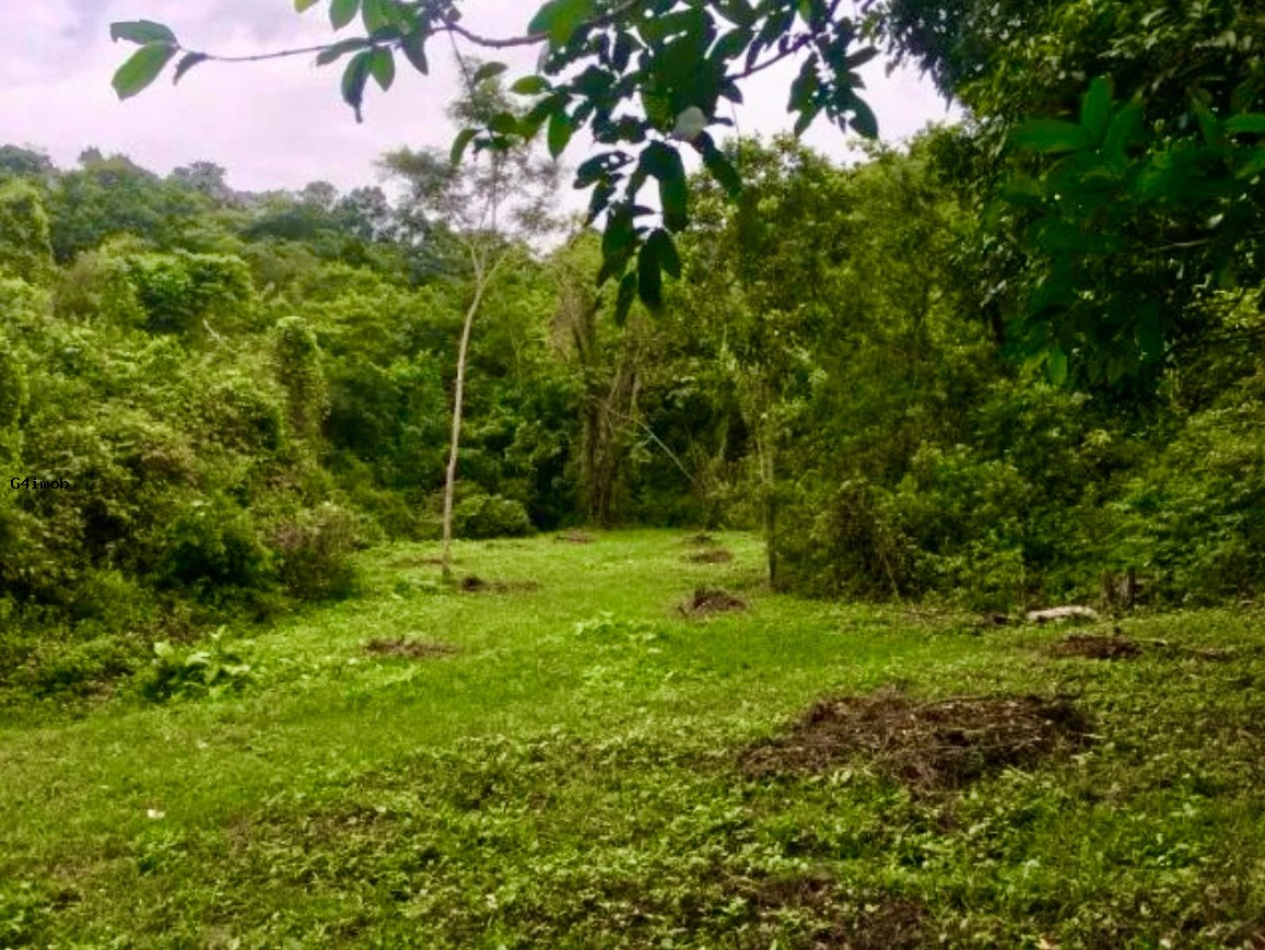Fazenda / Sítios / Chácaras à venda em Tingui, Saquarema - RJ