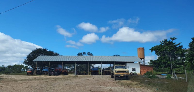 Fazenda, 146 hectares - Foto 14