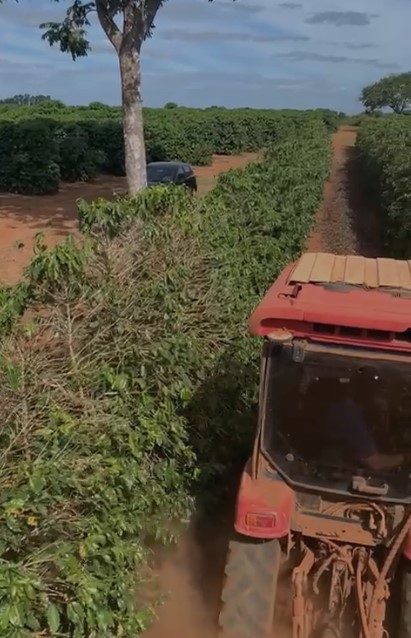 Fazenda, 146 hectares - Foto 25