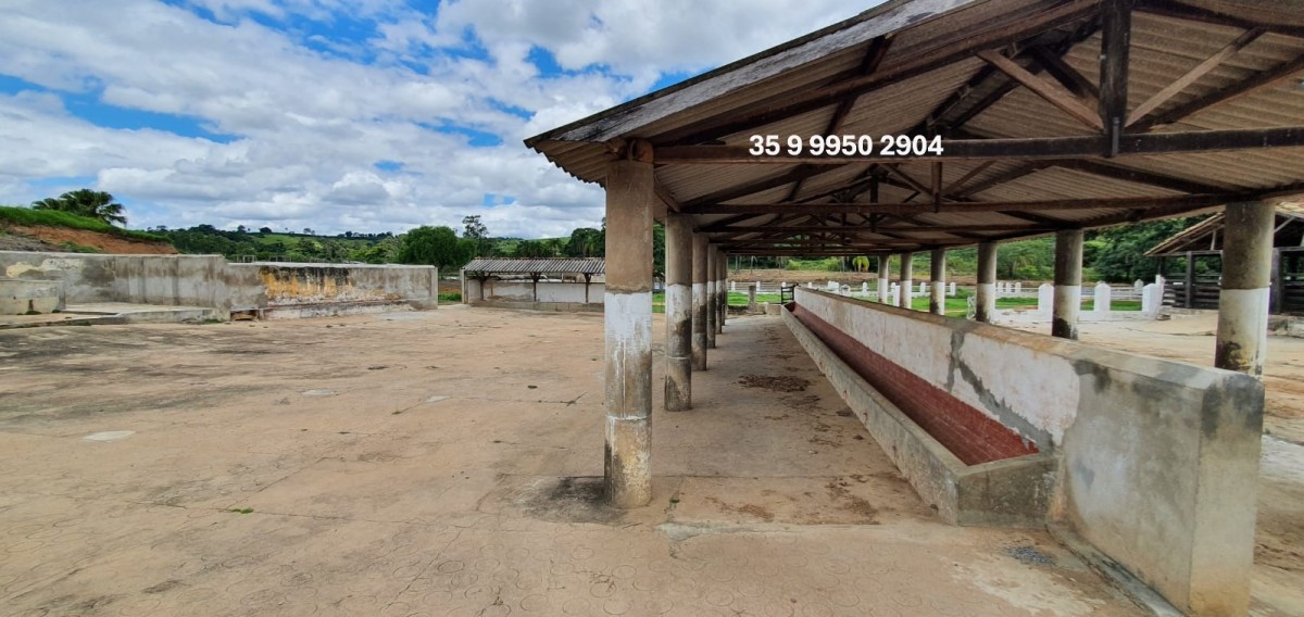Fazenda, 300 hectares - Foto 23