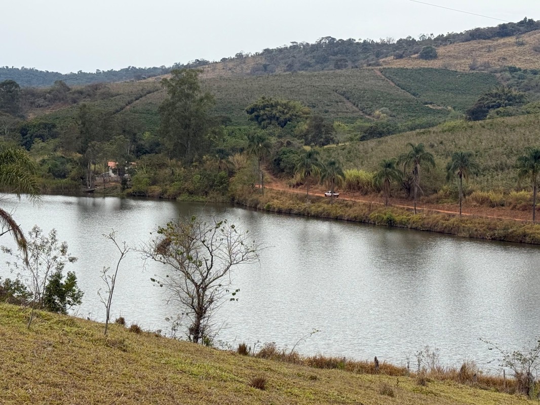 Fazenda, 300 hectares - Foto 5