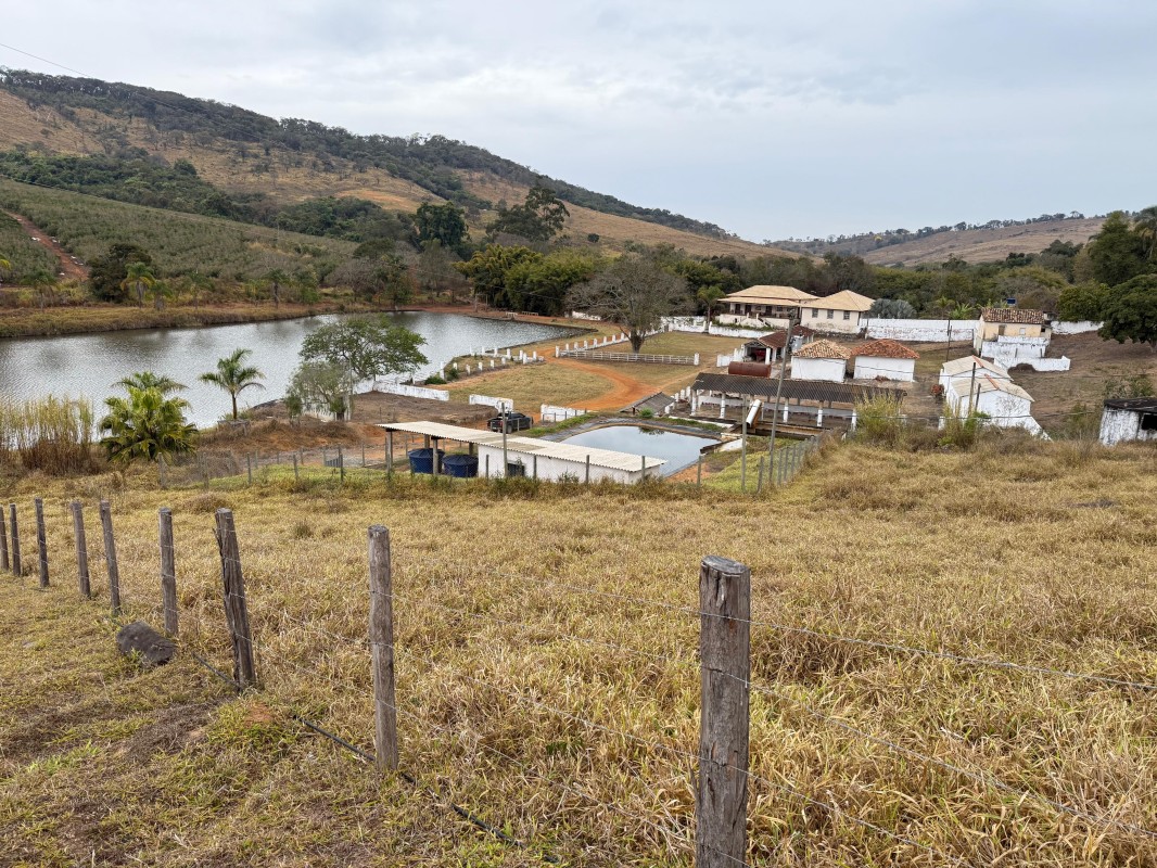Fazenda, 300 hectares - Foto 14