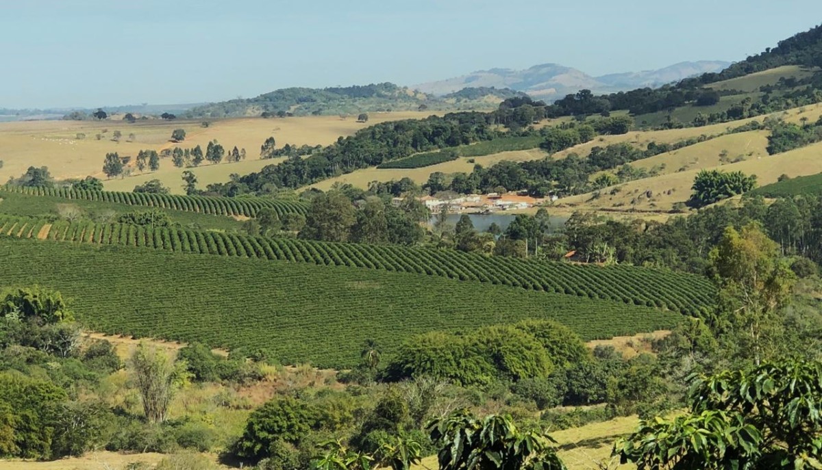 Fazenda, 300 hectares - Foto 7