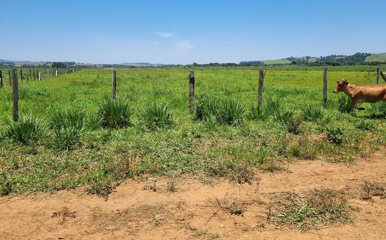 Fazenda, 177 hectares - Foto 25