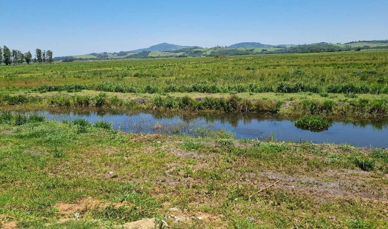 Fazenda, 177 hectares - Foto 7