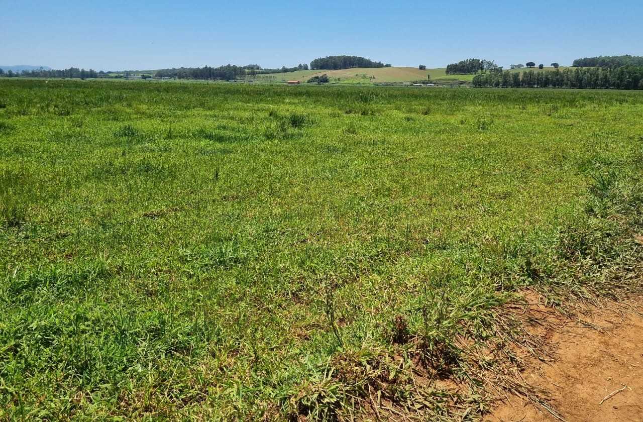 Fazenda, 177 hectares - Foto 23