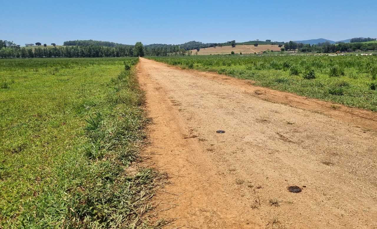 Fazenda, 177 hectares - Foto 24