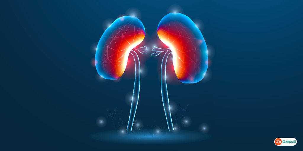 kidney transplant ki lagat in hindi