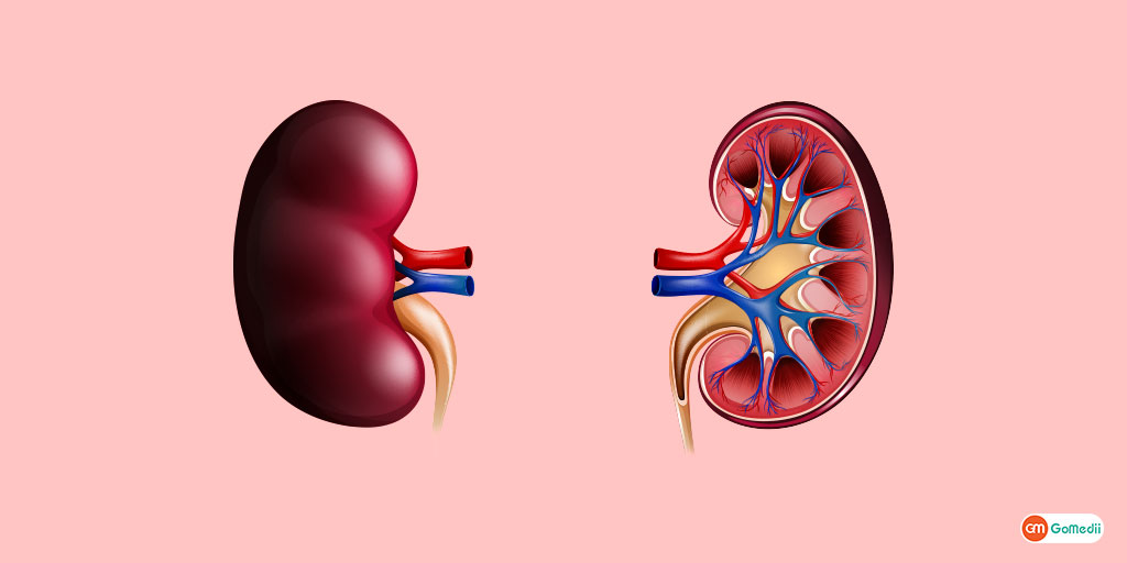 ckd lifestyle in hindi