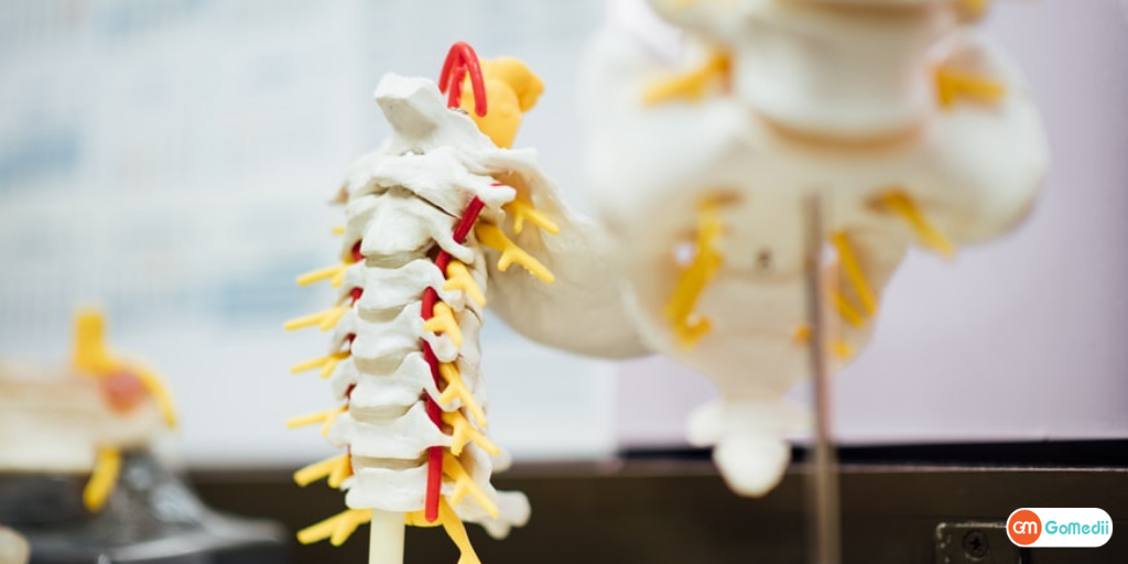 spine surgery ka ilaj aur kharcha in hindi - GoMedii