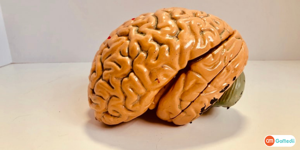 क्रेनियोटोमी सर्जरी से डॉक्टर किस बीमारी का इलाज करते हैं? - GoMedii