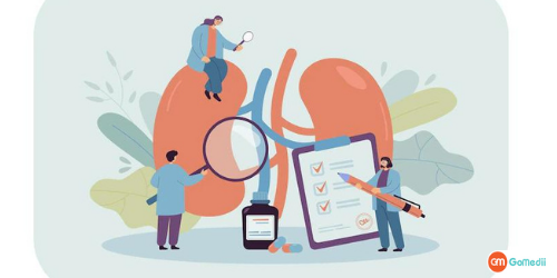 नेफरेक्टोमी से पहले क्या होता है,What Happens Before Nephrectomy in Hindi,