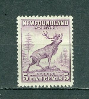NEWFOUNDLAND 1941 CARIBOU #257  MINT NO THINS