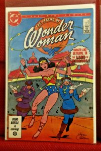 Wonder Woman Lot of 13 Comics From Seasons 1&2 and Wonder Woman DVD 