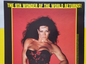 The Rock #1 Previews Exclusive PX Photo Variant 2001 Chaos Comics