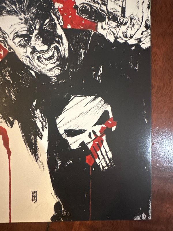 Punisher War Journal #17 (2008)