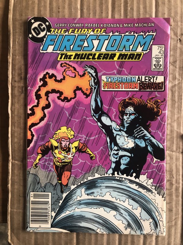 The Fury of Firestorm #43 (1986)