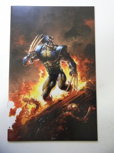 Return of Wolverine #1 Virgin Variant Edition NM-