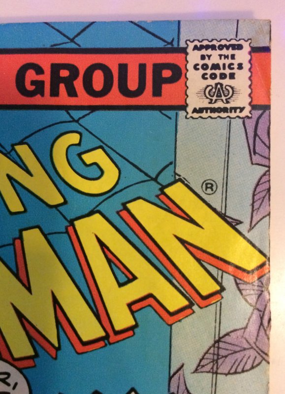 Amazing Spider-Man #169 Marvel VF (1977)
