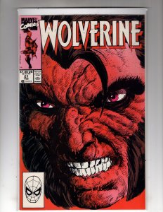 Wolverine #21 (1990)        / ID#05